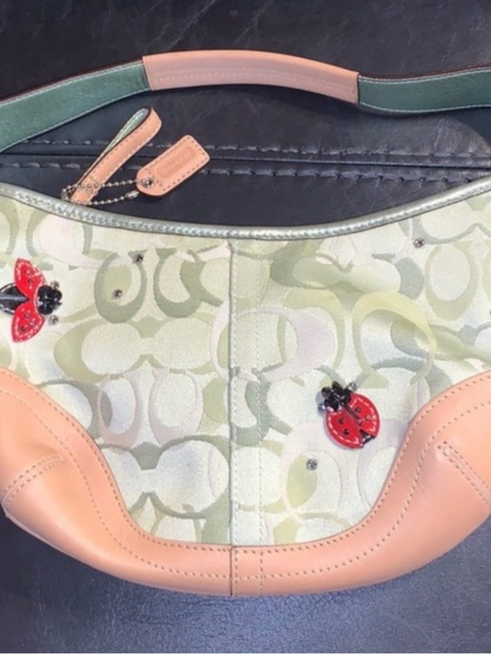 IN SEARCH OF COACH LADYBUG BAG. Please do not purchase